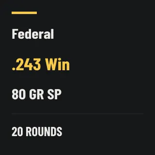 Federal .243 Win 80gr SP, 20 rounds