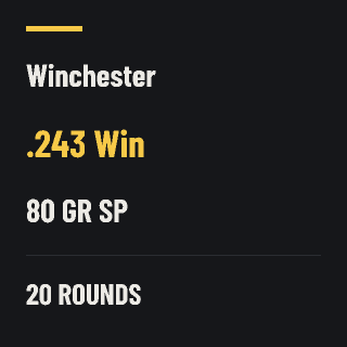 Winchester .243 Win 80gr SP, 20 rounds
