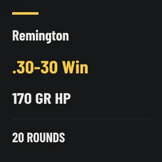 Remington .30-30 Win 170gr HP, 20 rounds