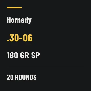 Hornady .30-06 180gr SP, 20 rounds