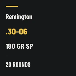 Remington .30-06 180gr SP, 20 rounds