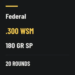 Federal .300 WSM 180gr SP, 20 rounds